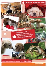 Pet Center, strana 7 