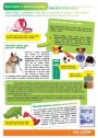 Pet Center, strana 11 