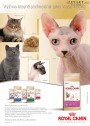 Pet Center, strana 7 