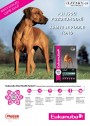 Pet Center, strana 4 