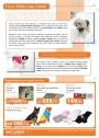 Pet Center, strana 6 