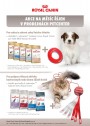Pet Center, strana 10 