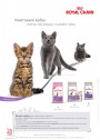 Pet Center, strana 6 